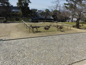 P1010703 P1010703