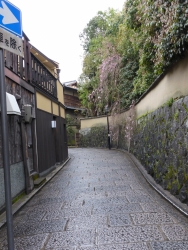 P1020141 P1020141
