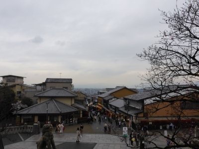 P1020153 P1020153