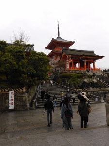 P1020155 P1020155