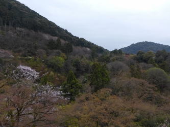 P1020158 P1020158