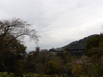 P1020174 P1020174