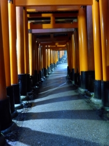 P1020196 P1020196
