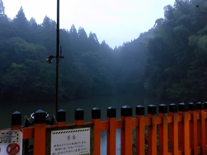 P1020198 P1020198