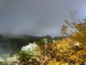 P1020245 P1020245