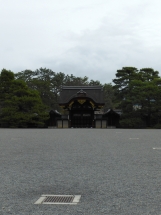 P1020306 P1020306