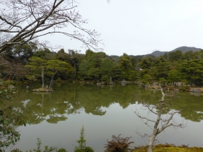 P1020325 P1020325