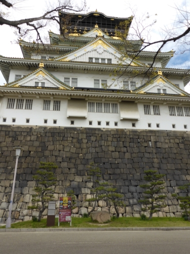 P1020366 P1020366
